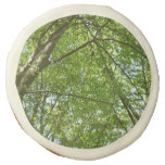 Canopy of Spring Leaves Green Nature Scene Sugar Cookie