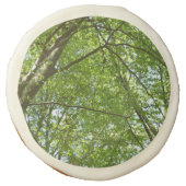 Canopy of Spring Leaves Green Nature Scene Sugar Cookie (Front)