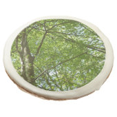 Canopy of Spring Leaves Green Nature Scene Sugar Cookie (Angled)