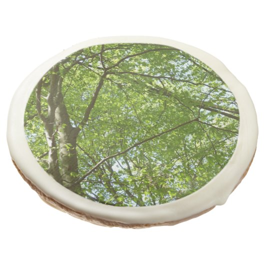 Canopy of Spring Leaves Green Nature Scene Sugar Cookie (Angled)