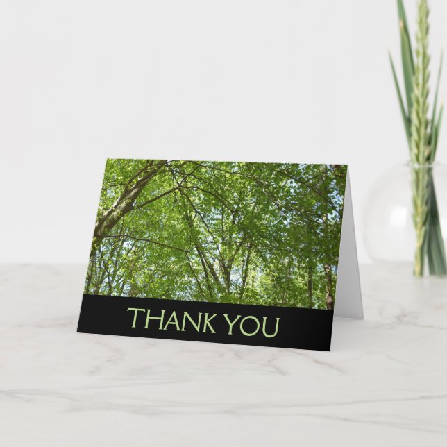 Canopy of Spring Leaves Green Nature Scene Thank You Card (Front)