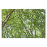Canopy of Spring Leaves Green Nature Scene Tissue Paper