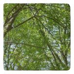 Canopy of Spring Leaves Green Nature Scene Trivet