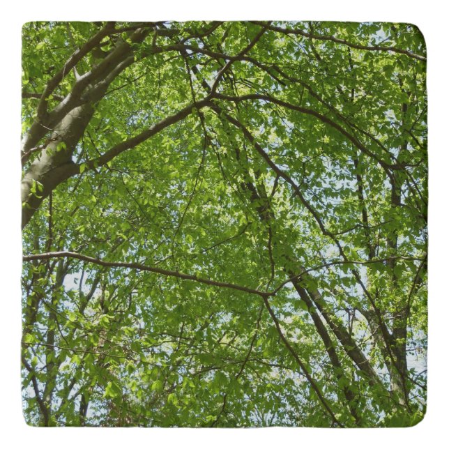 Canopy of Spring Leaves Green Nature Scene Trivet (Front)