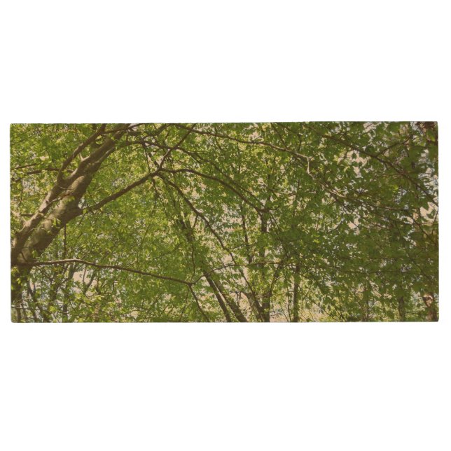 Canopy of Spring Leaves Green Nature Scene Wood Flash Drive (Front)