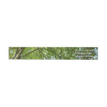 Canopy of Spring Leaves Green Nature Scene Wrap Around Label