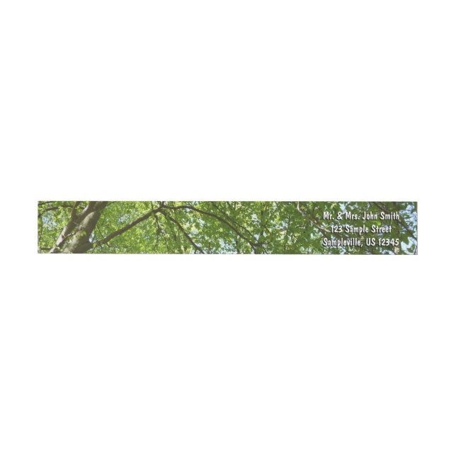 Canopy of Spring Leaves Green Nature Scene Wrap Around Label (Individual)
