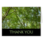 Canopy of Spring Leaves Thank You (Blank Inside) Card