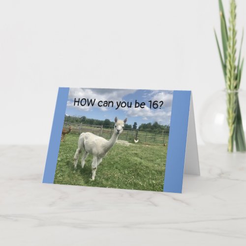 CANT BELIEVE YOU ARE CELEBRATING 16th BIRTHDAY  Card