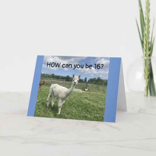 CAN'T BELIEVE YOU ARE CELEBRATING 