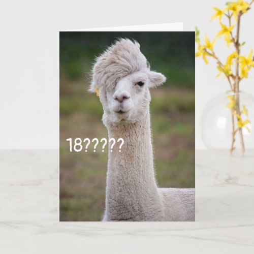 CANT BELIEVE YOU ARE CELEBRATING 18th BIRTHDAY Card