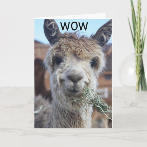 CANT BELIEVE YOU ARE CELEBRATING 3rd BIRTHDAY Card