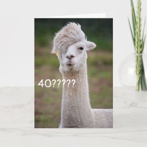CANT BELIEVE YOU ARE CELEBRATING 40th BIRTHDAY Card