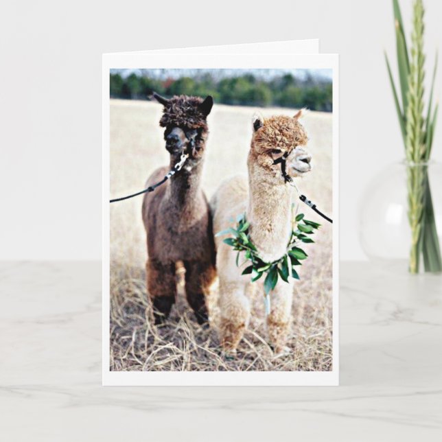 CAN'T BELIEVE YOU ARE CELEBRATING "40th" BIRTHDAY Card (Front)