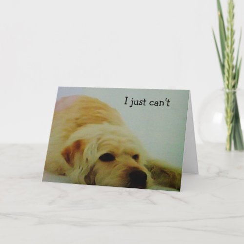 CANT DO ANYTHING WITHOUT YOU CARD