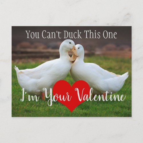 Cant Duck Valentine Postcard