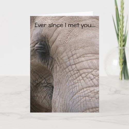 Cant Forget You Elephant Greeting Card