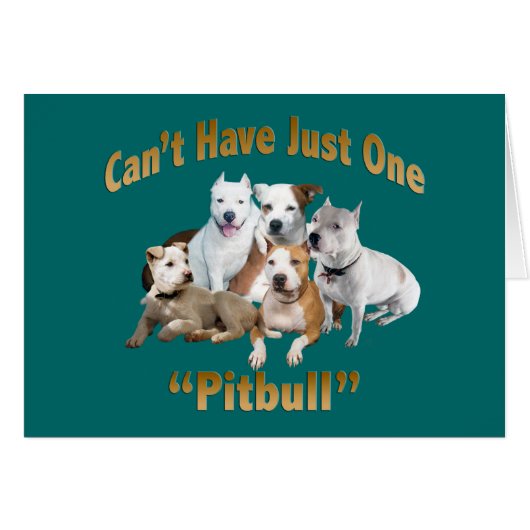 Can't Have Just One Pitbull Cards (Front Horizontal)