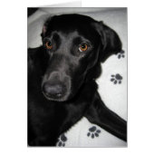 Can't Help Myself (Front)