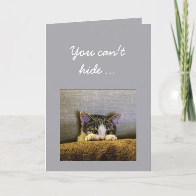 Can't hide from 30th Birthday Fun Kitten Card (Front)