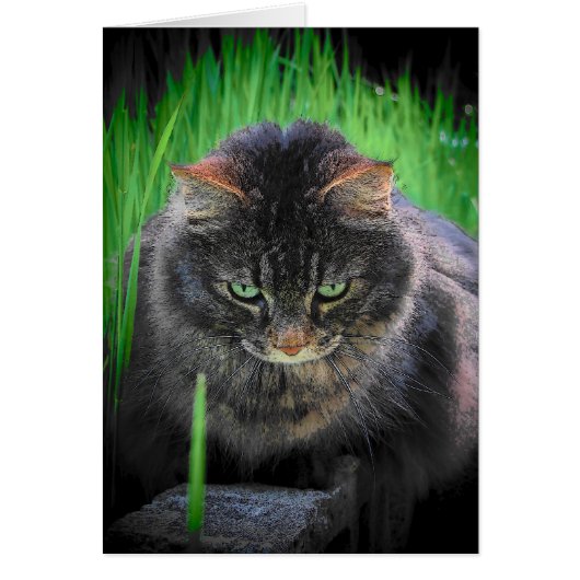 Can't look away (Front)