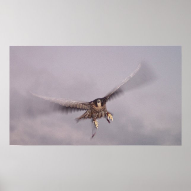 Can't Stop The Thunder... Poster (Front)