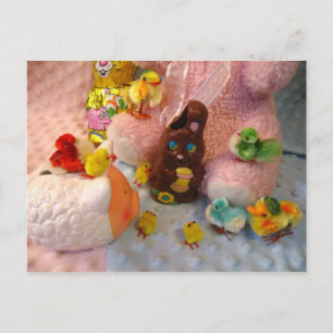 Can't Wait Chocolate Bunny Postcard