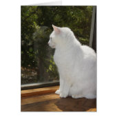 Can't Wait to See You (Front)