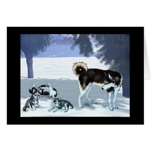 cant we just play (Front Horizontal)