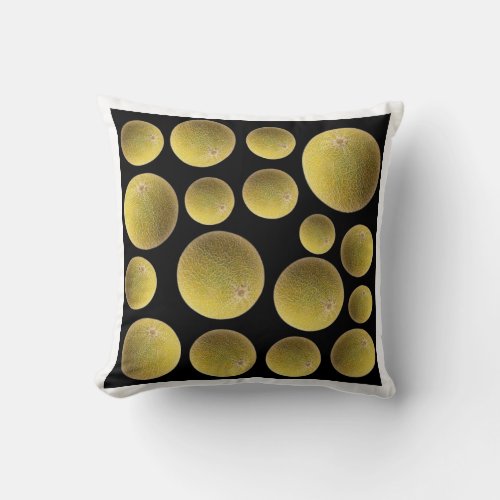 Cantaloupe pattern throw pillow