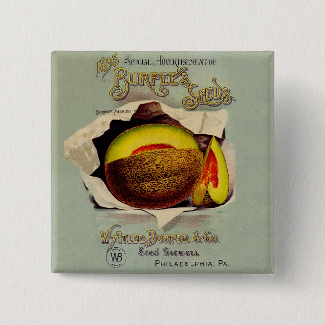 Cantaloupe Seed Advertising Art Antique Button (Front)