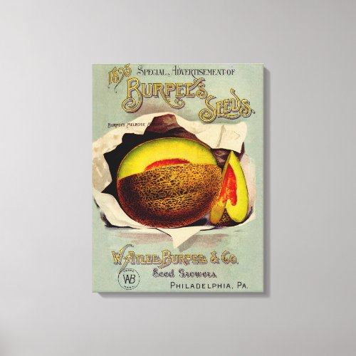 Cantaloupe Seed Advertising Art Antique Canvas Print