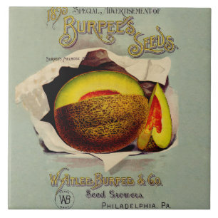 Cantaloupe Seed Advertising Art Antique Ceramic Tile