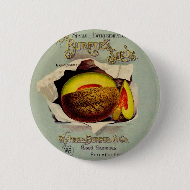 Cantaloupe Seed Advertising Art Antique Pinback Button (Front)