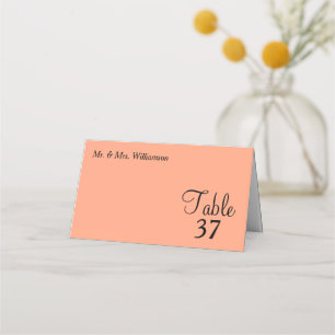 Cantaloupe Turquoise Wedding Table Number Place Card