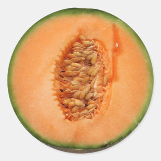 cantelope sticker