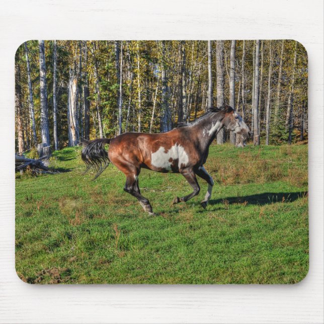 Cantering Paint Stallion & Forest Equine Photo Mouse Pad (Front)