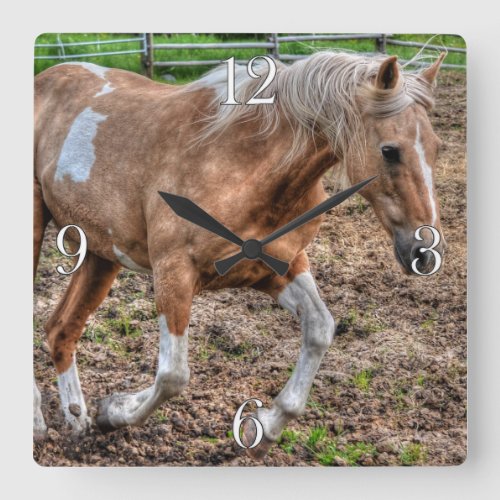 Cantering Palomino Paint Ranch Horse_lover Photo Square Wall Clock