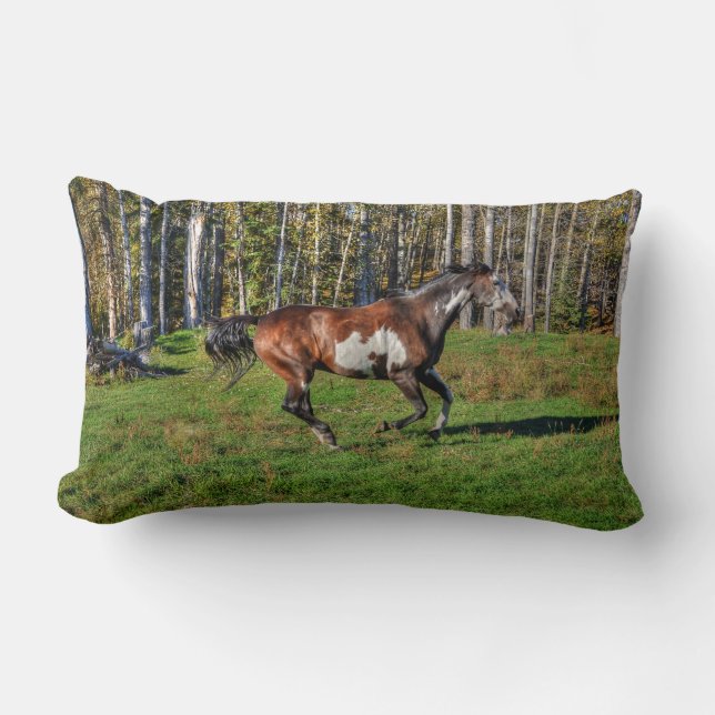 Cantering Pinto Paint Horse & Trees Equine Photo Lumbar Pillow (Front)