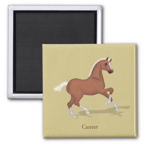 Cantering Sorrel Foal Gaits of the Horse Magnet
