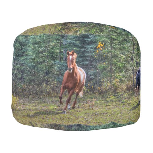 Cantering Sorrel Horse Equine Action Photo Pouf