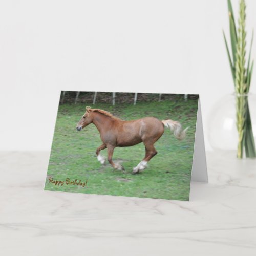 Cantering Welsh cob birthday Card