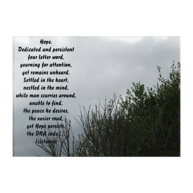 canvas acrylic photograph with Hope Poem design Acrylic Print (Front)