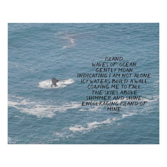 CANVAS ART AND DESIGN STYLE  (Front)