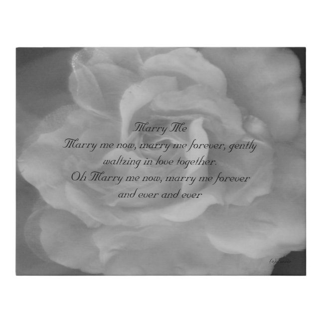 CANVAS ART AND DESIGN STYLE  (Front)