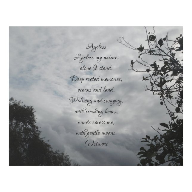 CANVAS ART AND DESIGN STYLE  (Front)