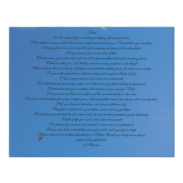 CANVAS ART AND DESIGN STYLE  (Front)