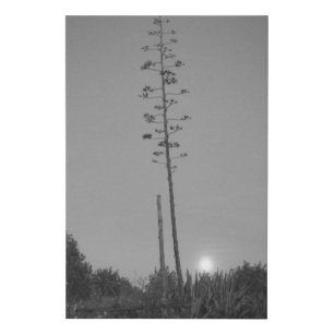 CANVAS ART AND DESIGN STYLE 