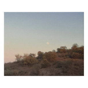 CANVAS ART AND DESIGN STYLE