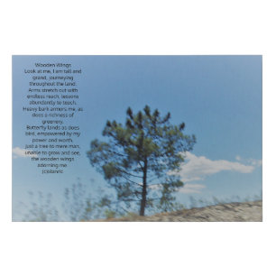 CANVAS ART AND DESIGN Wooden Wings poem